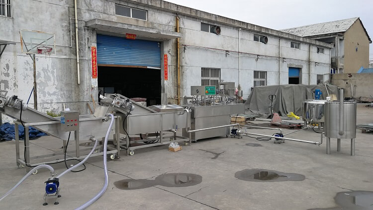 march 22, 2019，bhj-2 automatic cup filling and sealing machine and pasteurizatio